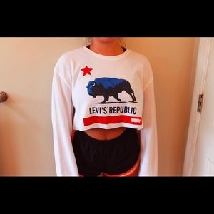 Vintage Levi’s shirt